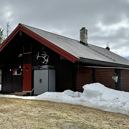 Koselig Hytte Med Usjenert Og Solrik Beliggenhet يالو المظهر الخارجي الصورة