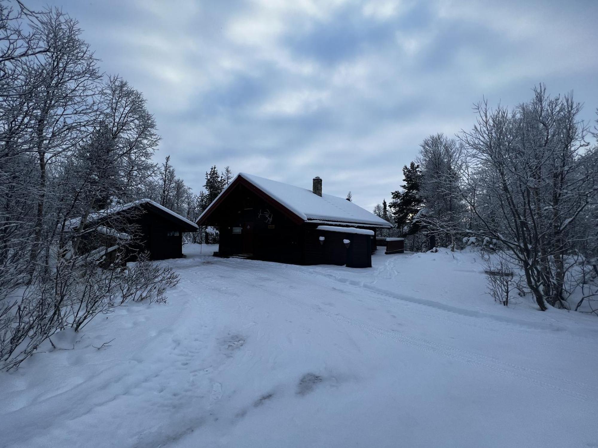 Koselig Hytte Med Usjenert Og Solrik Beliggenhet يالو المظهر الخارجي الصورة